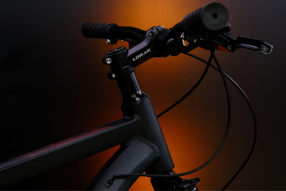 LORAK Fast Brown 29 Матовый Чёрный рама 19 (на рост 171-182)